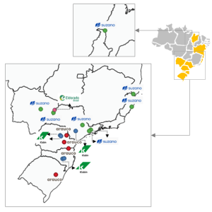 Localização das Empresas do setor florestal com práticas ESG