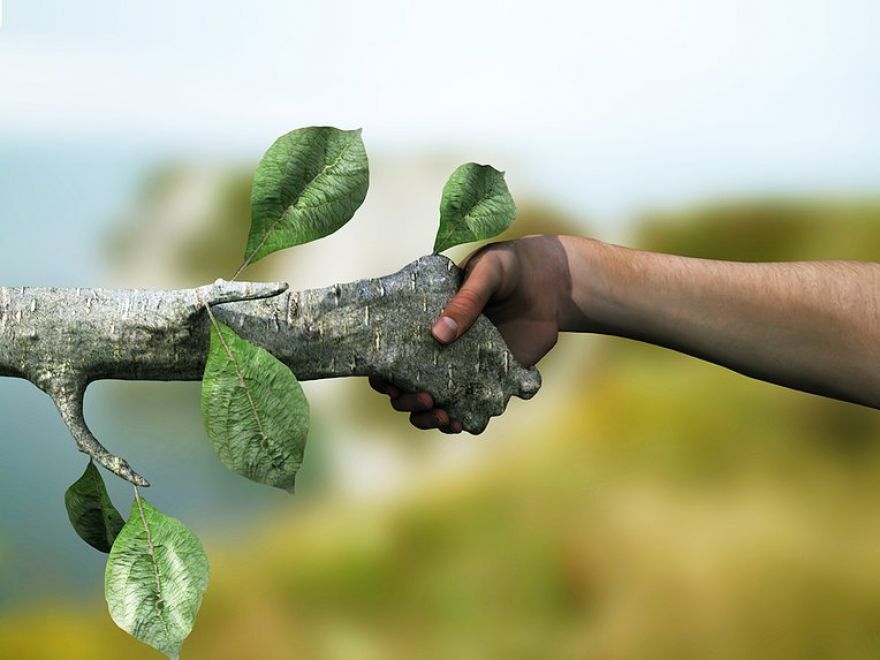 Produtos Florestais e Papel e Celulose