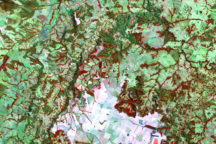 Geoprocessamento para Agronegócio e Empresas Florestais