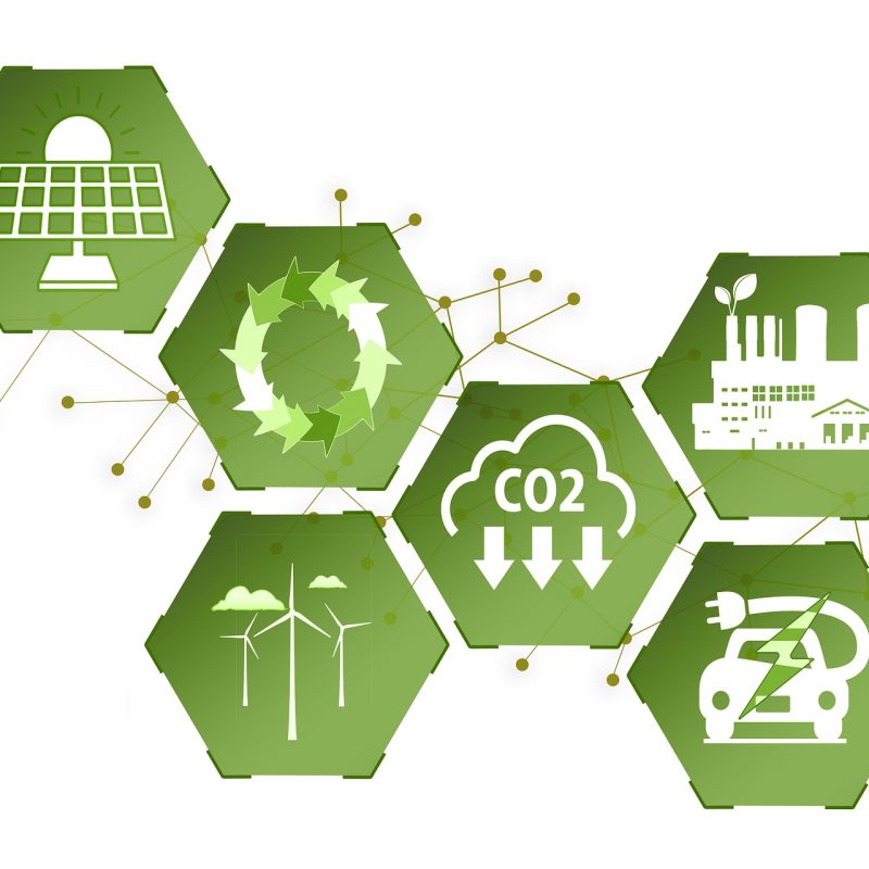 Consumidor e Empresas Sustentáveis