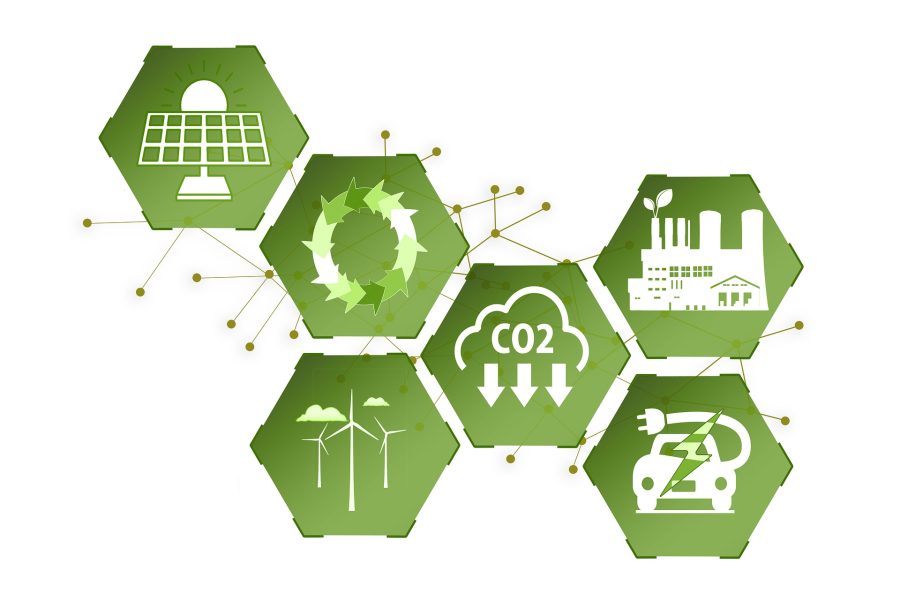 Consumidor e Empresas Sustentáveis